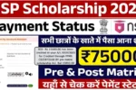 NSP Scholarship 2026 Apply